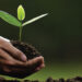 Life Skills for Wealth